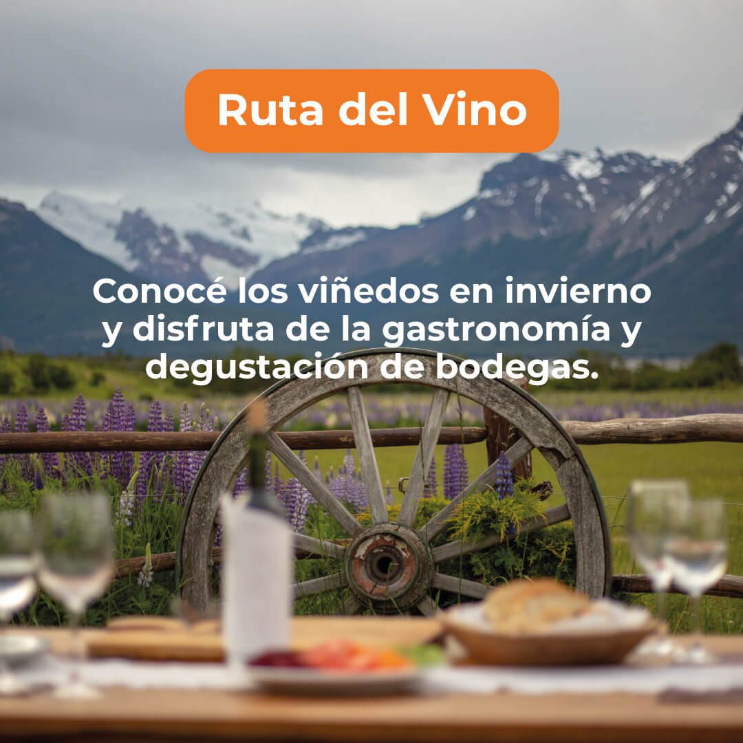 Tips Para Armar Tu Propio Circuito Por La Ruta Del Vino En Mendoza