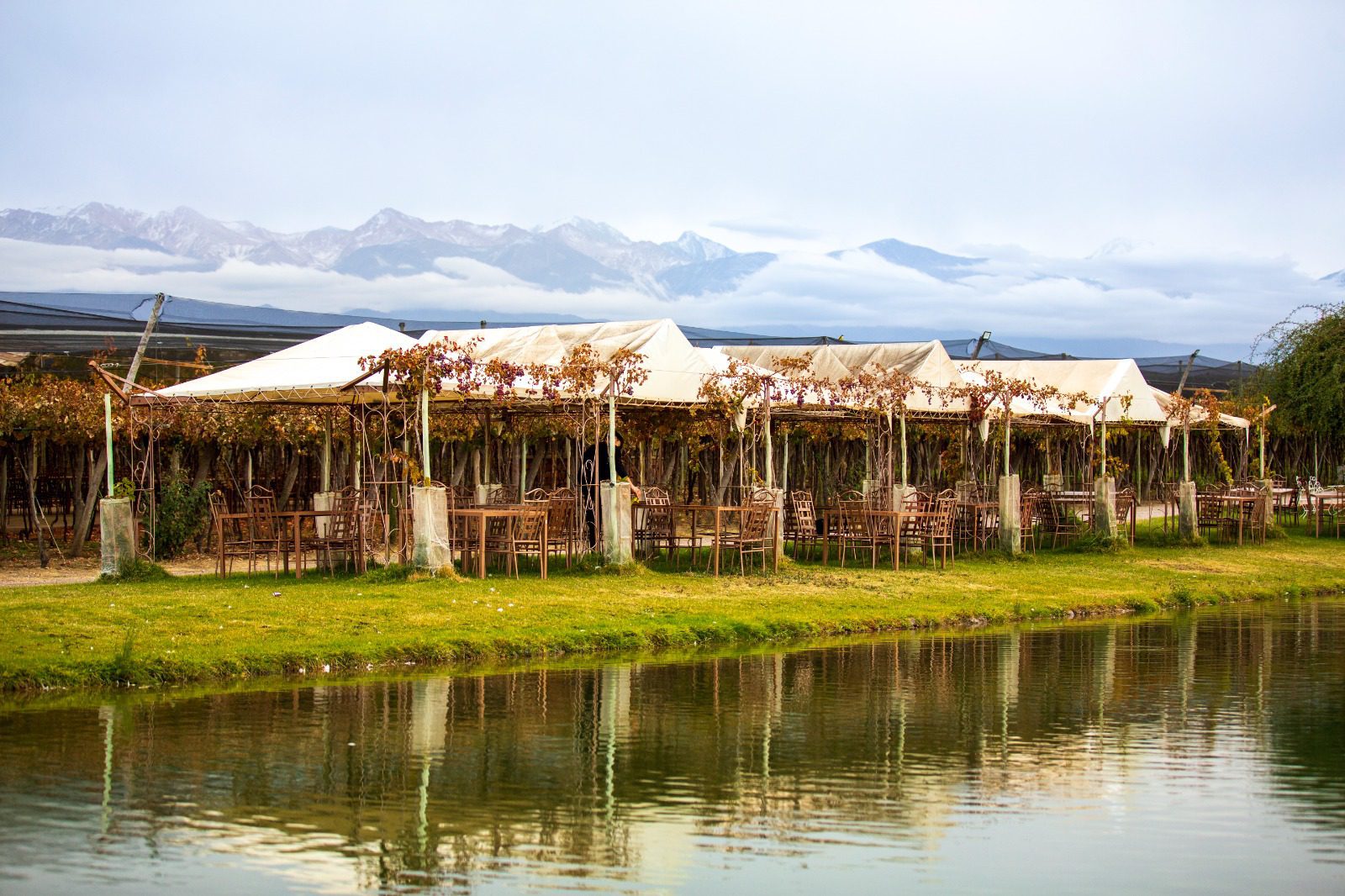 Bodega Jean Bousquet - Lauke Tours