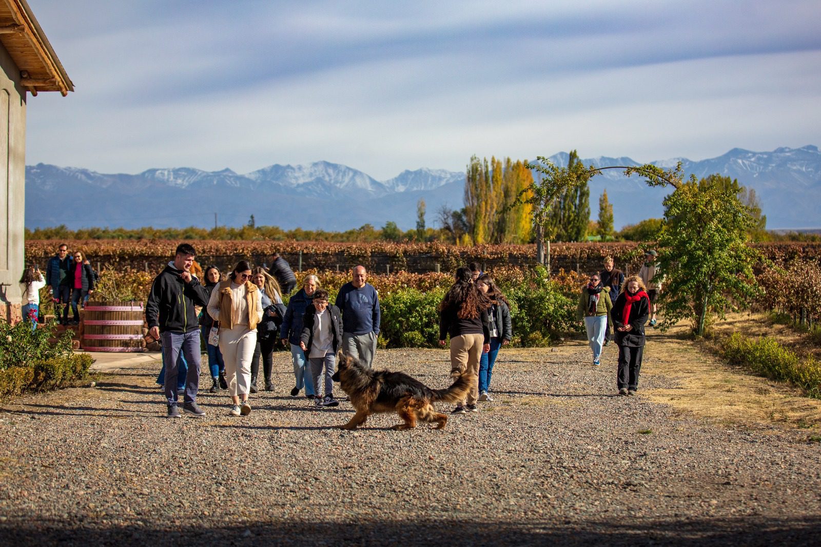 Bodega Jean Bousquet - Visita - Lauke Tours