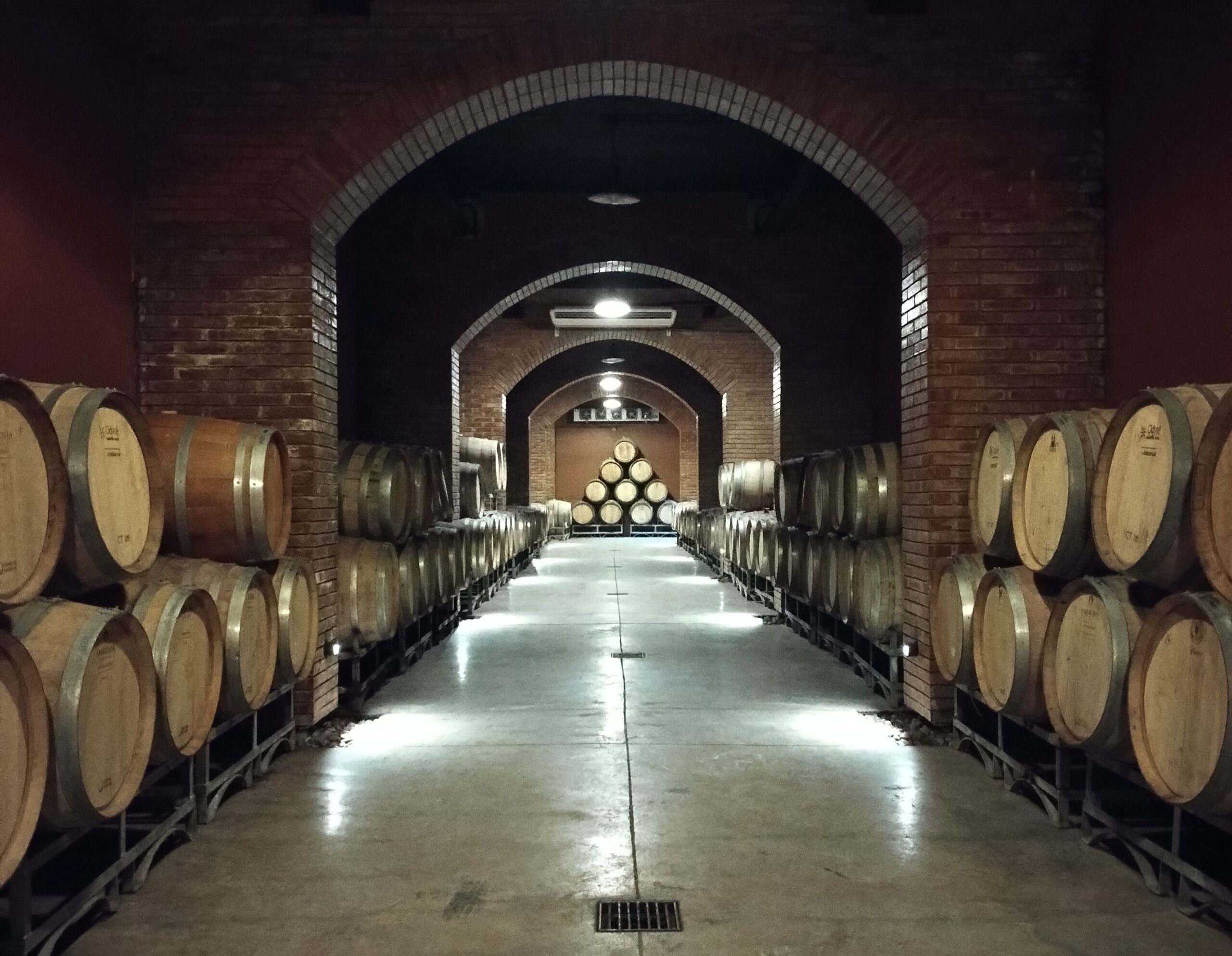 Del Olivo a la Vid - Barricas - Lauke Tours