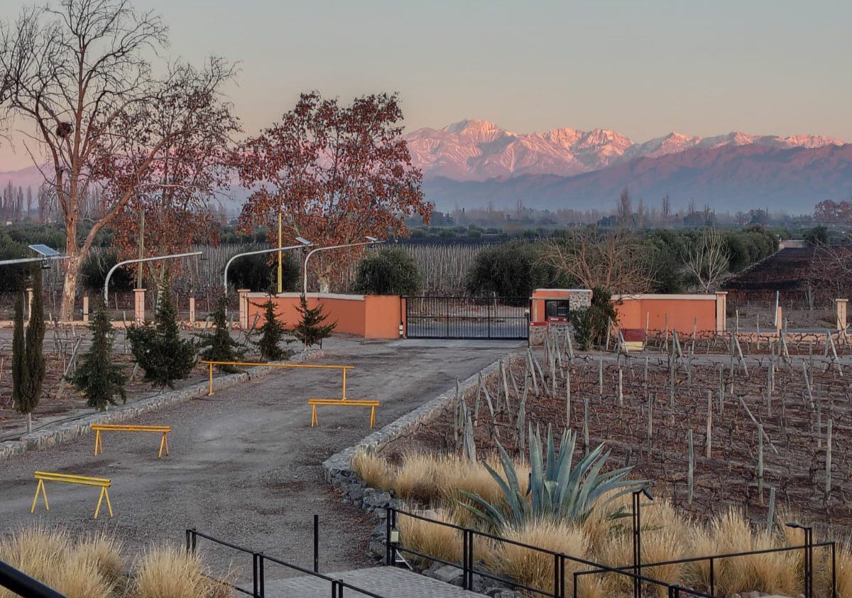 Experiencia vino, pan y oliva - Bodega Vistandes - Lauke Tours