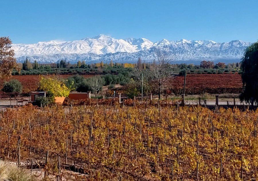 Experiencia vino, pan y oliva - Paisaje - Lauke Tours