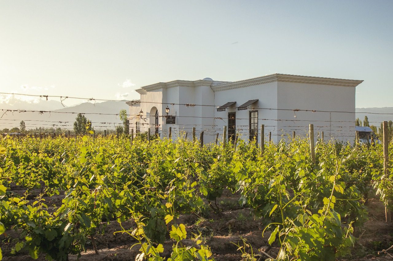 Viamonte Sunset - Bodega - Lauke Tours