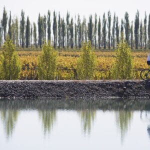 E-bikes por bodegas en Chacras de Coria