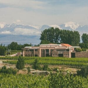 Experiencia Uco: Andeluna y Salentein