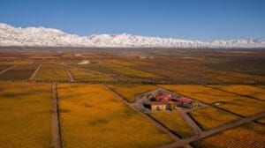 Arma tu propio Circuito por la Ruta del Vino - Valle de Uco - Lauke Tours