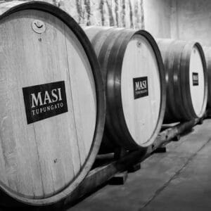 Full day Valle de Uco