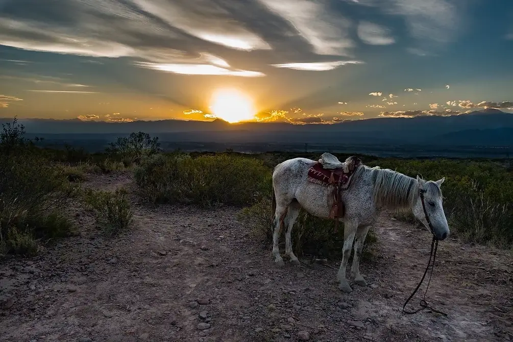 Cabalgata-atardecer-Lauke-tour.