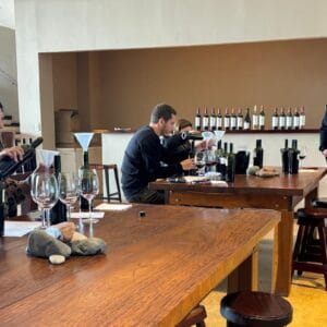 Vinos y olivos en Maipú