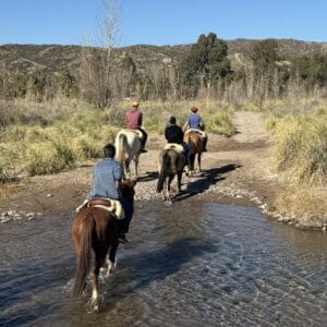 Cabalgata y asado criollo en Maipú