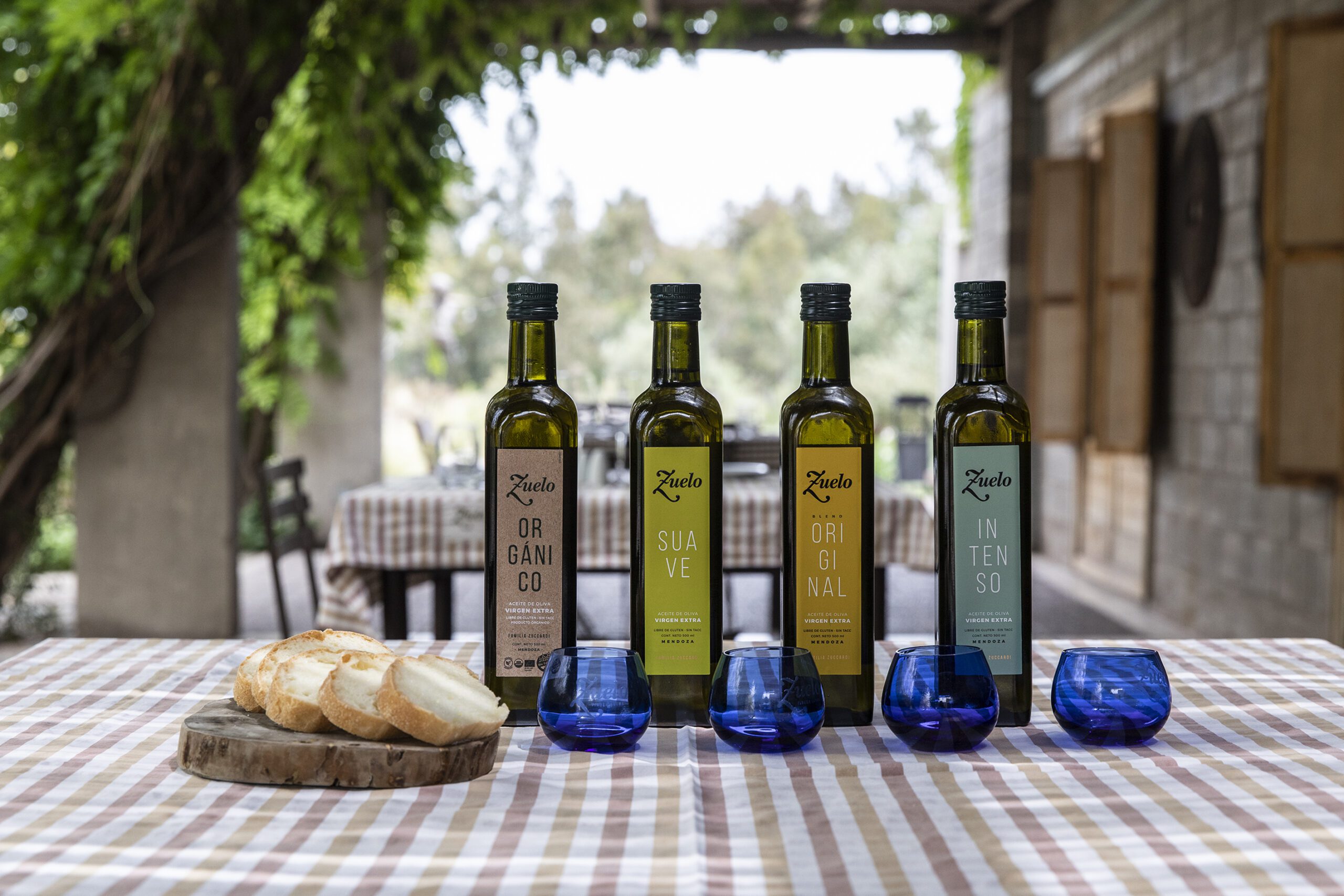 Full Day Maipú con almuerzo en bodega Santa Julia | Lauke Tours