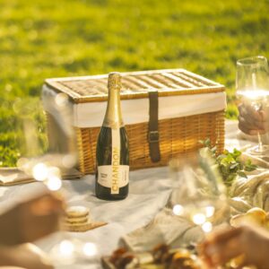 Picnic Gourmet y Visita Clásica en Bodega Chandon