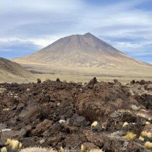 Experiencia Payunia desde Malargüe