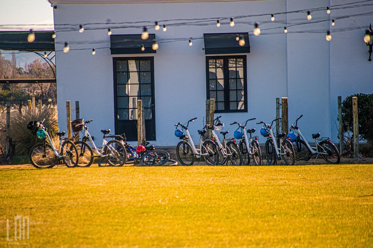 E-bikes por bodegas en Chacras de Coria