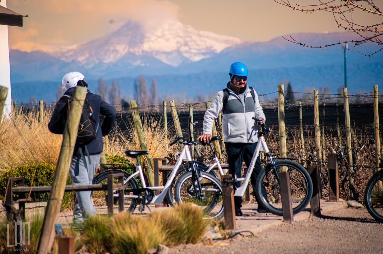 E-bikes por bodegas en Chacras de Coria