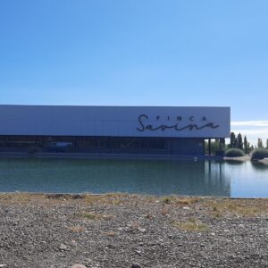 Tour de vinos: Savina y Sin Fin