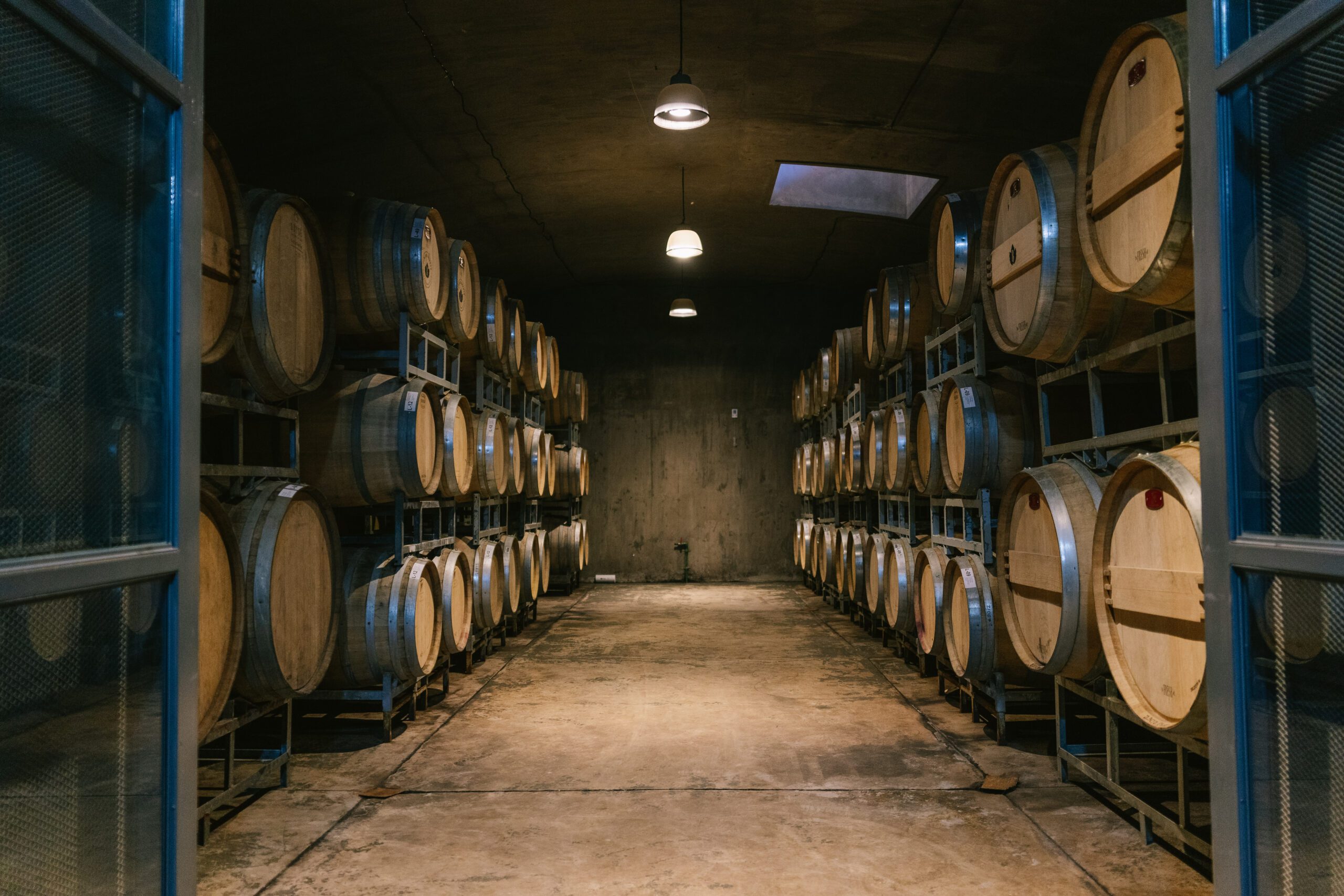 Cacheuta, Potrerillos y Viñedos - Barriles - Lauke Tours