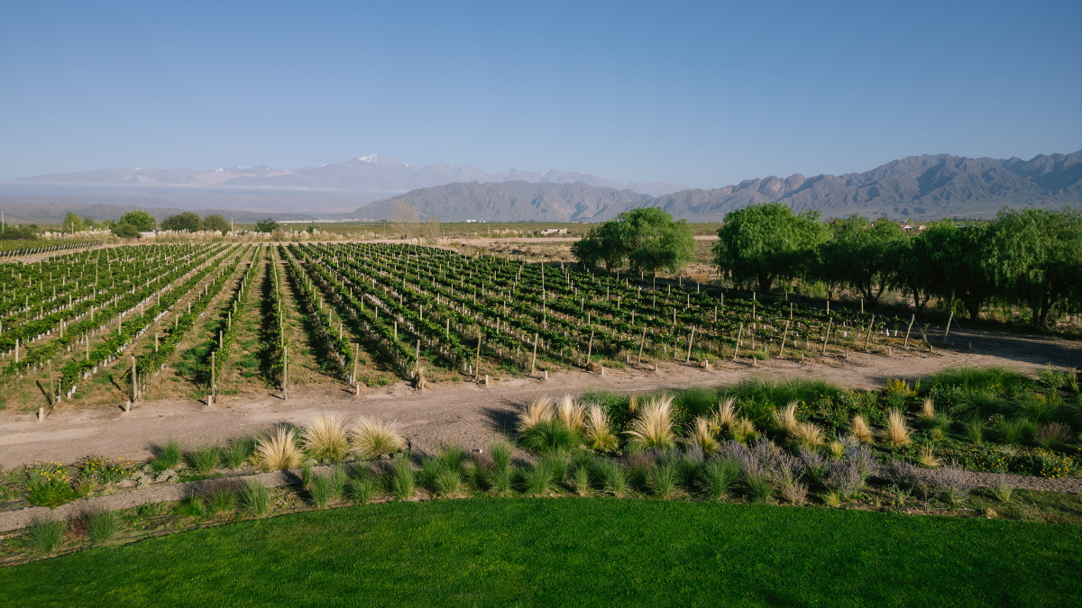 Cacheuta, Potrerillos y Viñedos - Lauke Tours