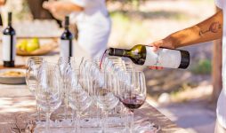 Finca El Paraíso - Degustación de Vino | Lauke Tours